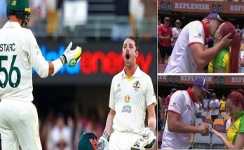 A proposal at the Gabba in the Ashes live match, Watch VIDEO