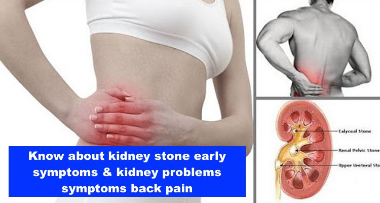 Know about kidney stone early symptoms & kidney problems symptoms back pain