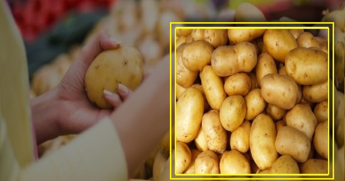 Potato-Price-In-Odisha